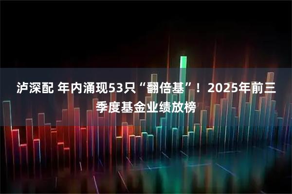 泸深配 年内涌现53只“翻倍基”！2025年前三季度基金业绩放榜