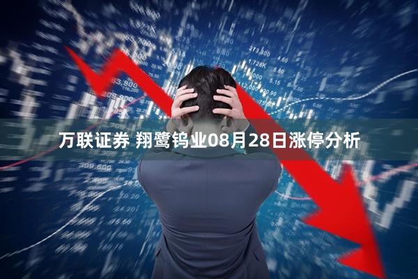 万联证券 翔鹭钨业08月28日涨停分析