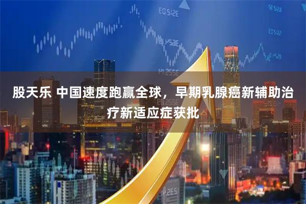 股天乐 中国速度跑赢全球，早期乳腺癌新辅助治疗新适应症获批